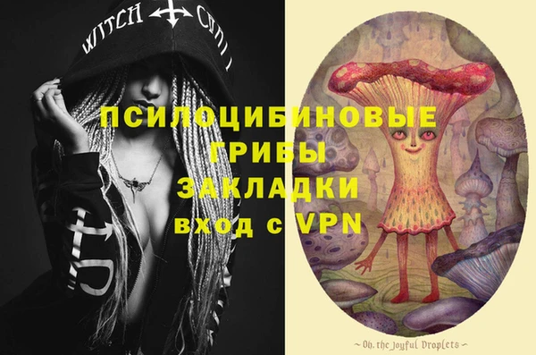 дживик Арсеньев