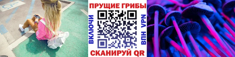 Галлюциногенные грибы MAGIC MUSHROOMS  omg онион  Губаха  купить наркотик 