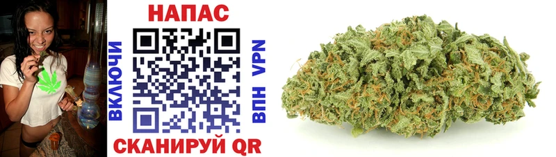 купить наркотики сайты  Губаха  Марихуана SATIVA & INDICA 